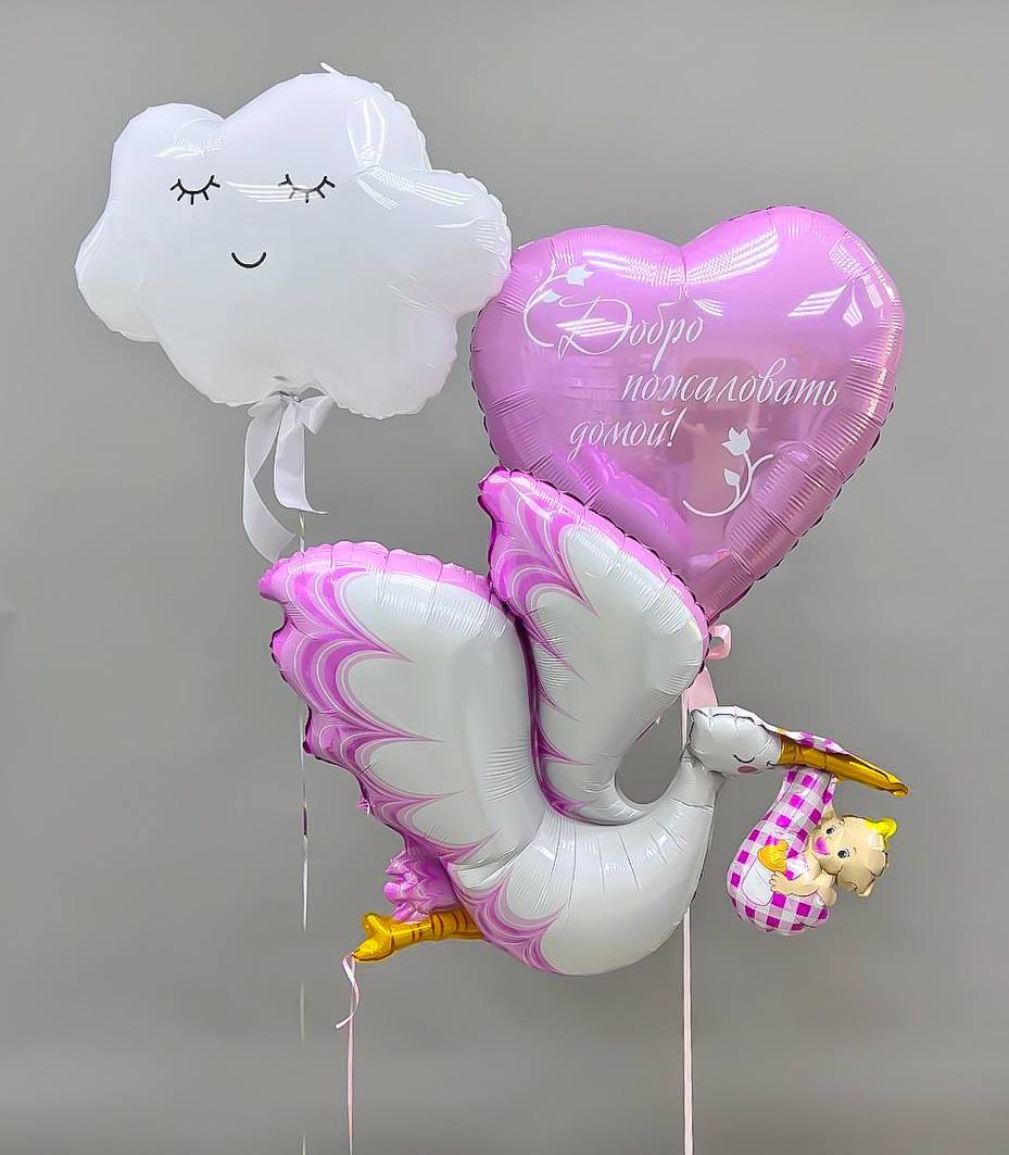 Набор воздушных шаров для новорожденных 108